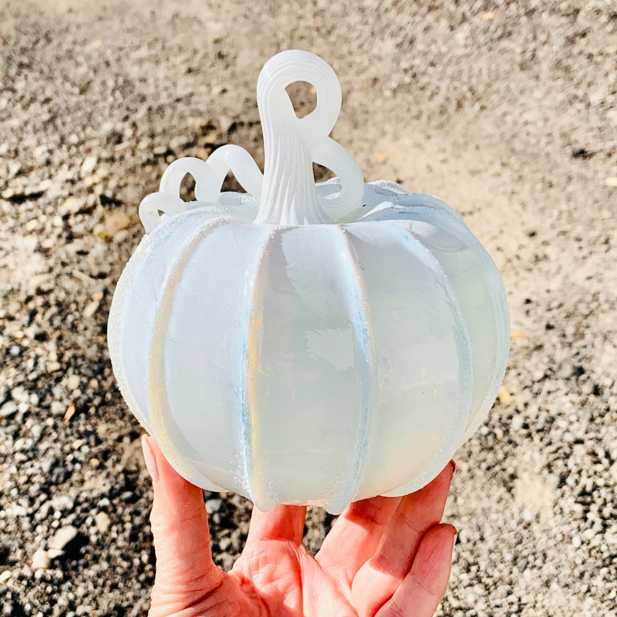Daily Pumpkin 512 “The Illusive White Pumpkin” Daily Pumpkin Luke Adams Glass Blowing Studio 