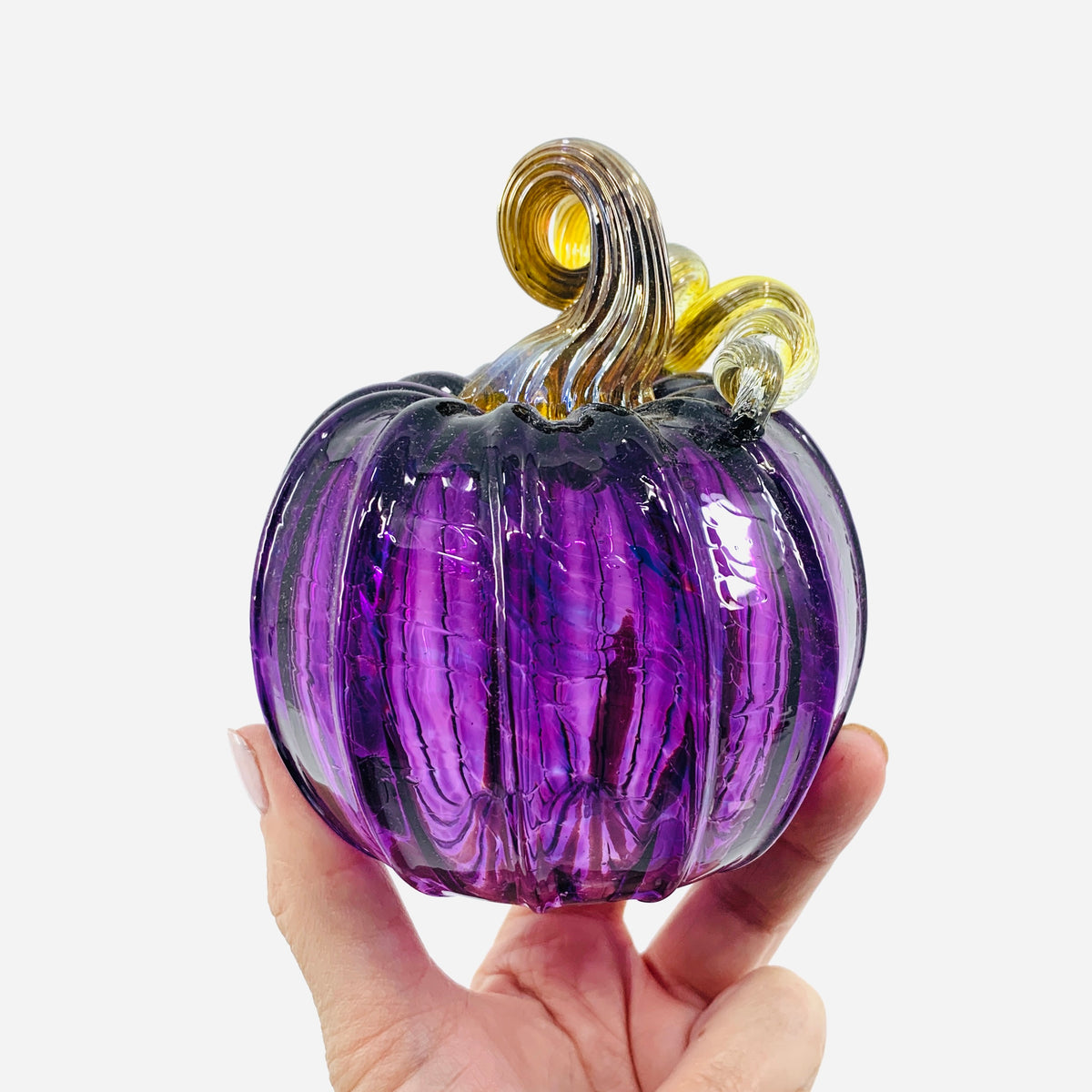 Daily Pumpkin 355 Fall Jumbo Mini