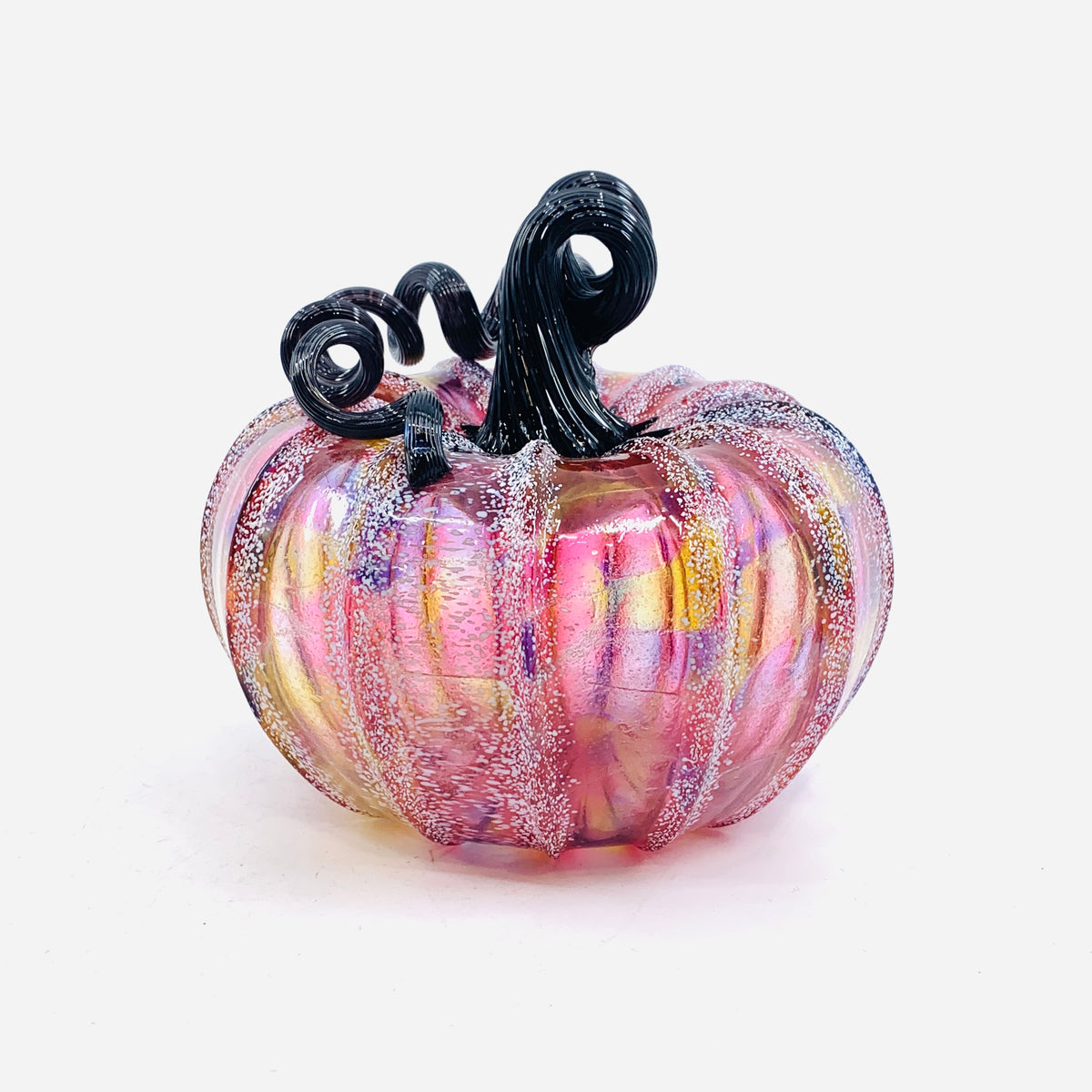 Daily Pumpkin 452 Fall Squat