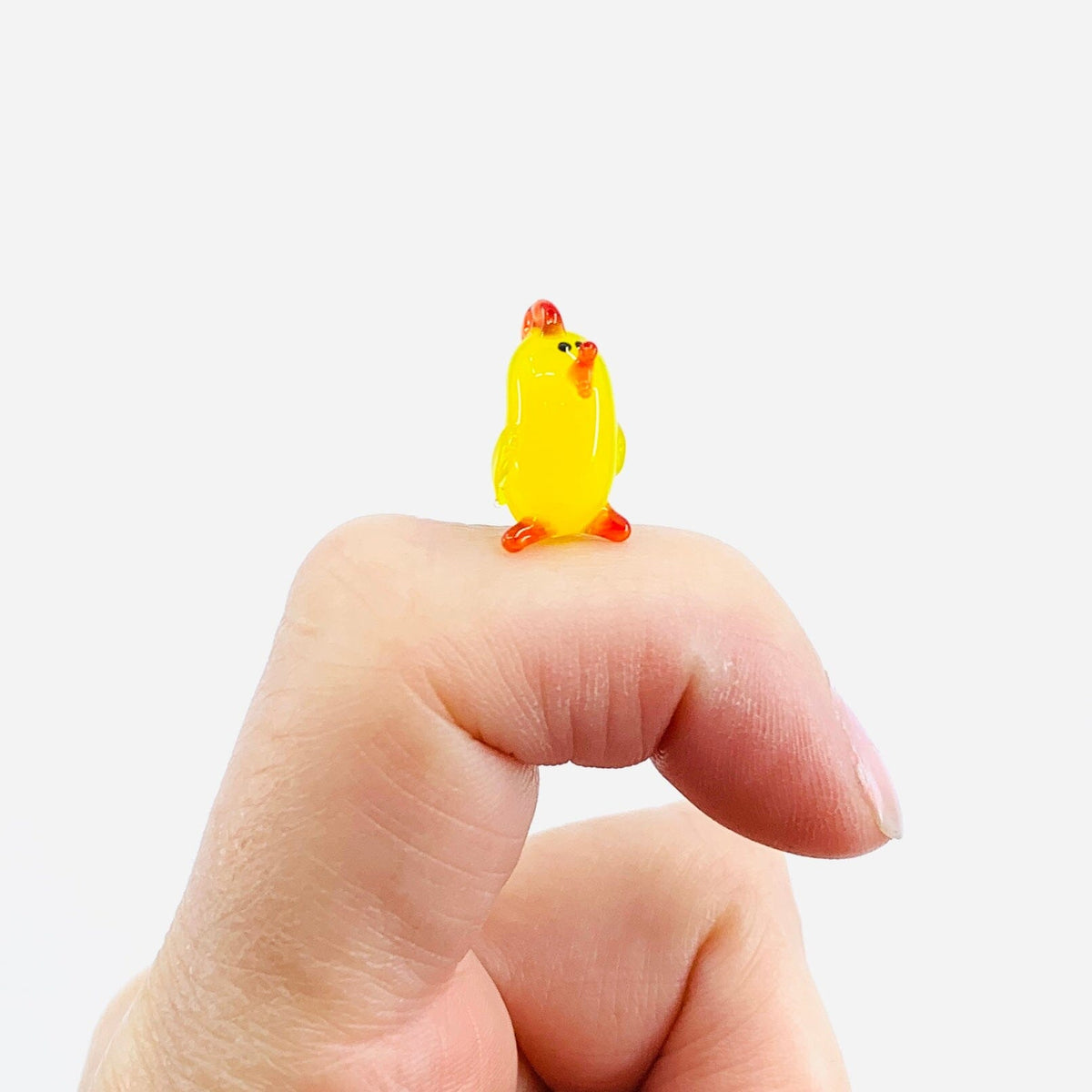 Teeny Teensie Chick 6 JACO 