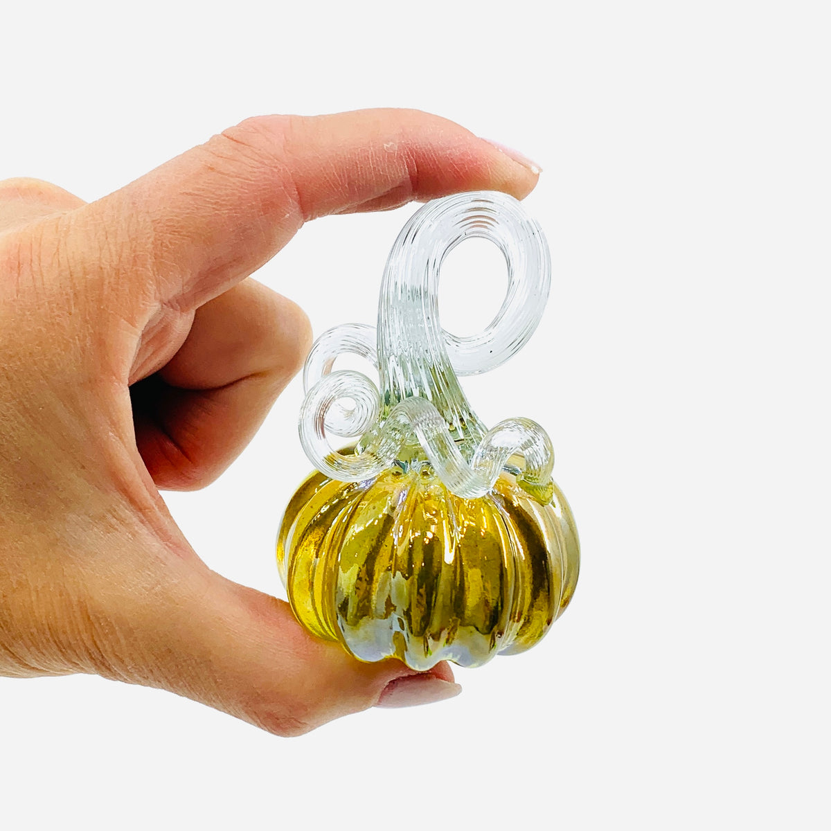 Daily Pumpkin 416 Mini Paperweight