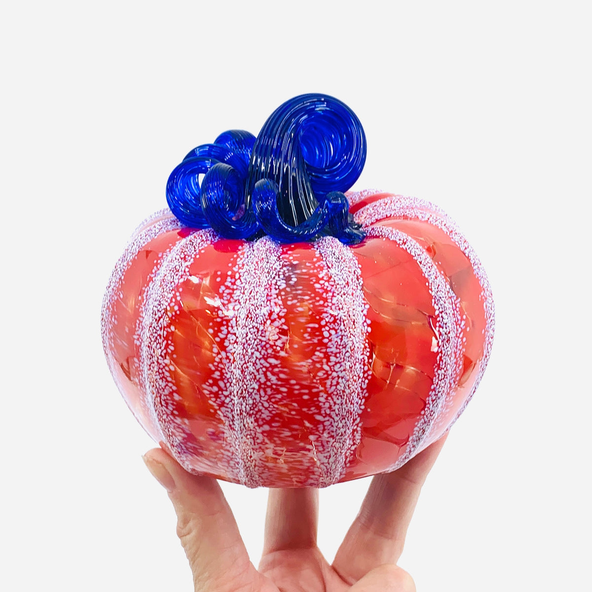 Daily Pumpkin 1415 American Squat