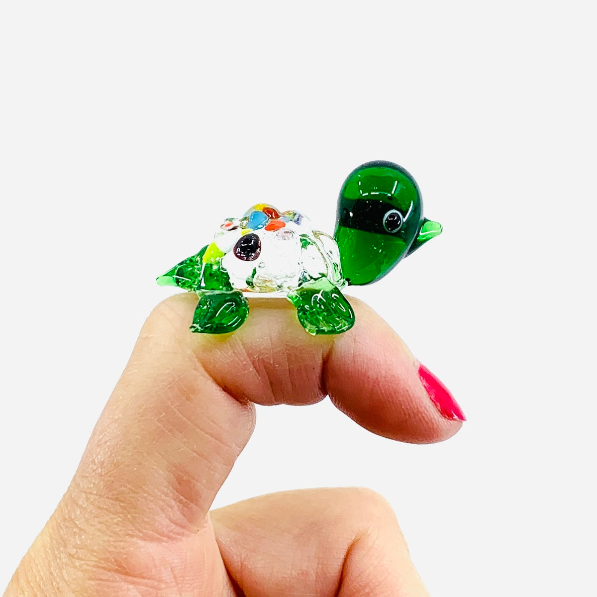 Glass Spotted Turtle