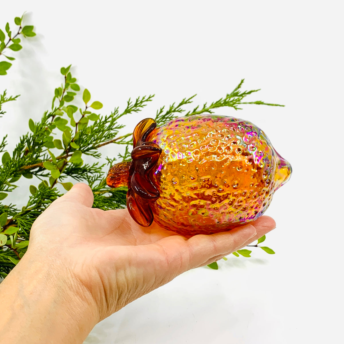 Glass Acorn, Iridescent