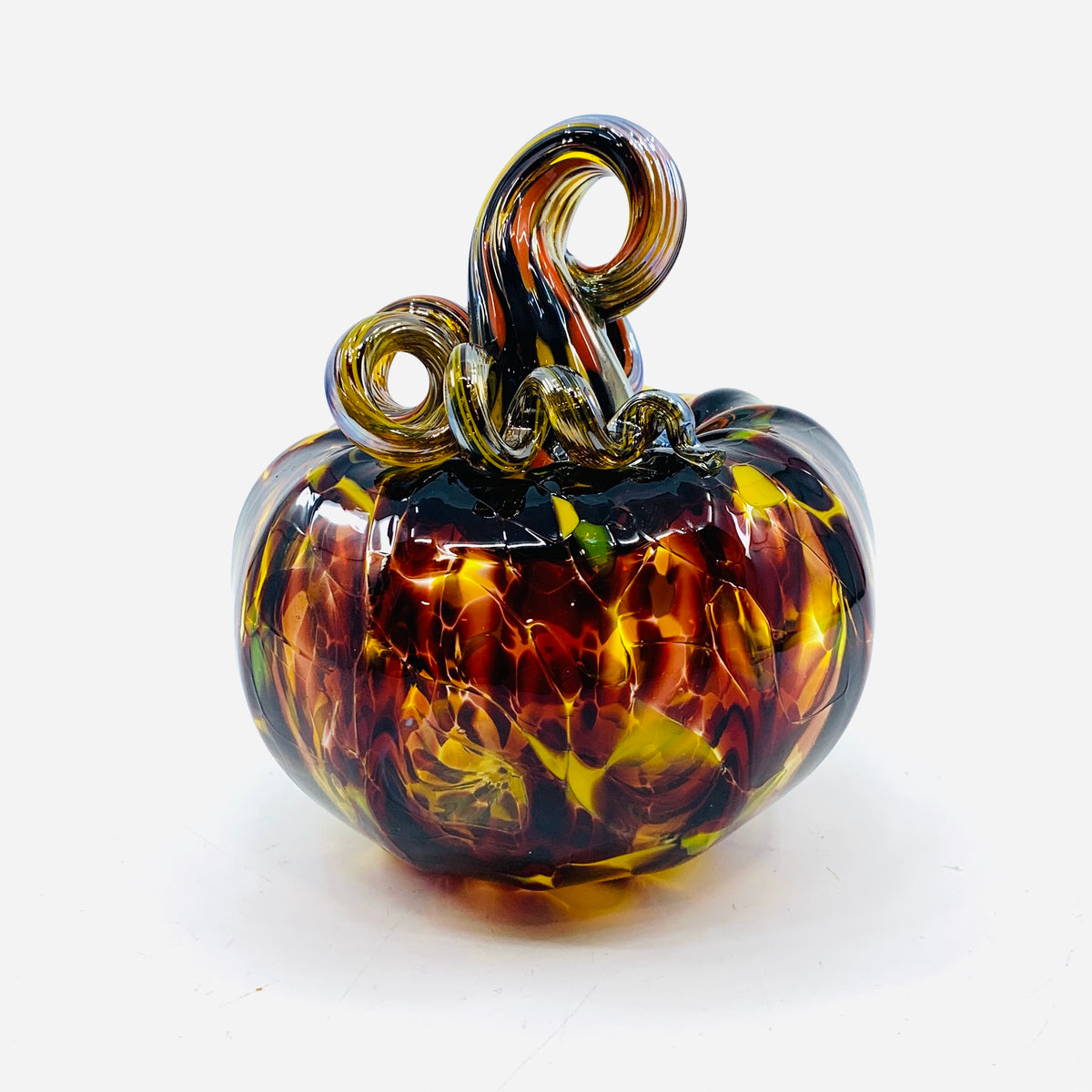 Daily Pumpkin 3503 Fall Squat
