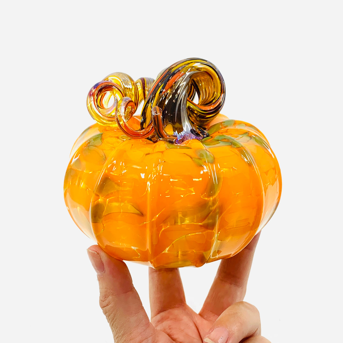 Daily Pumpkin 3498 Fall Squat
