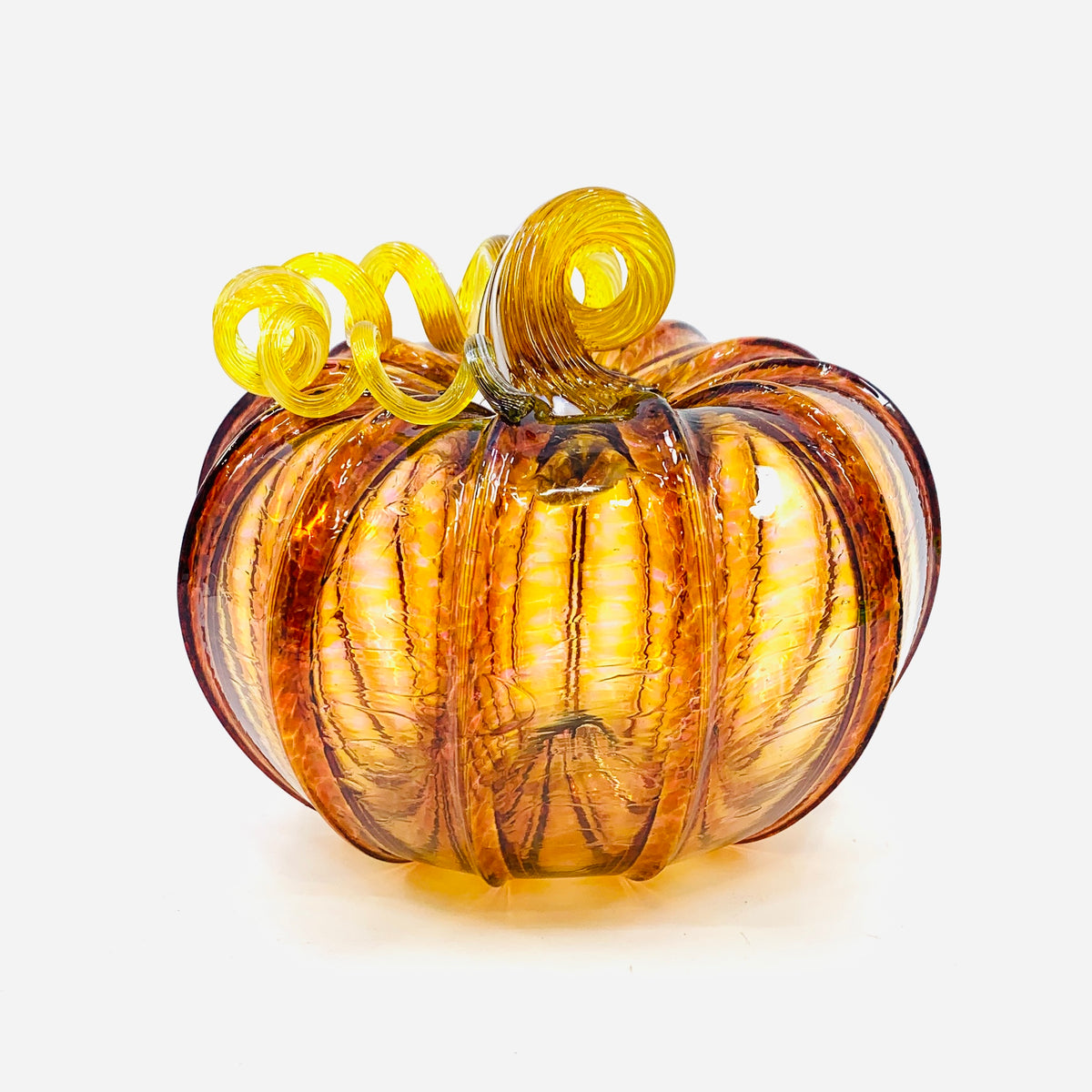 Daily Pumpkin 3358 Fall Squat