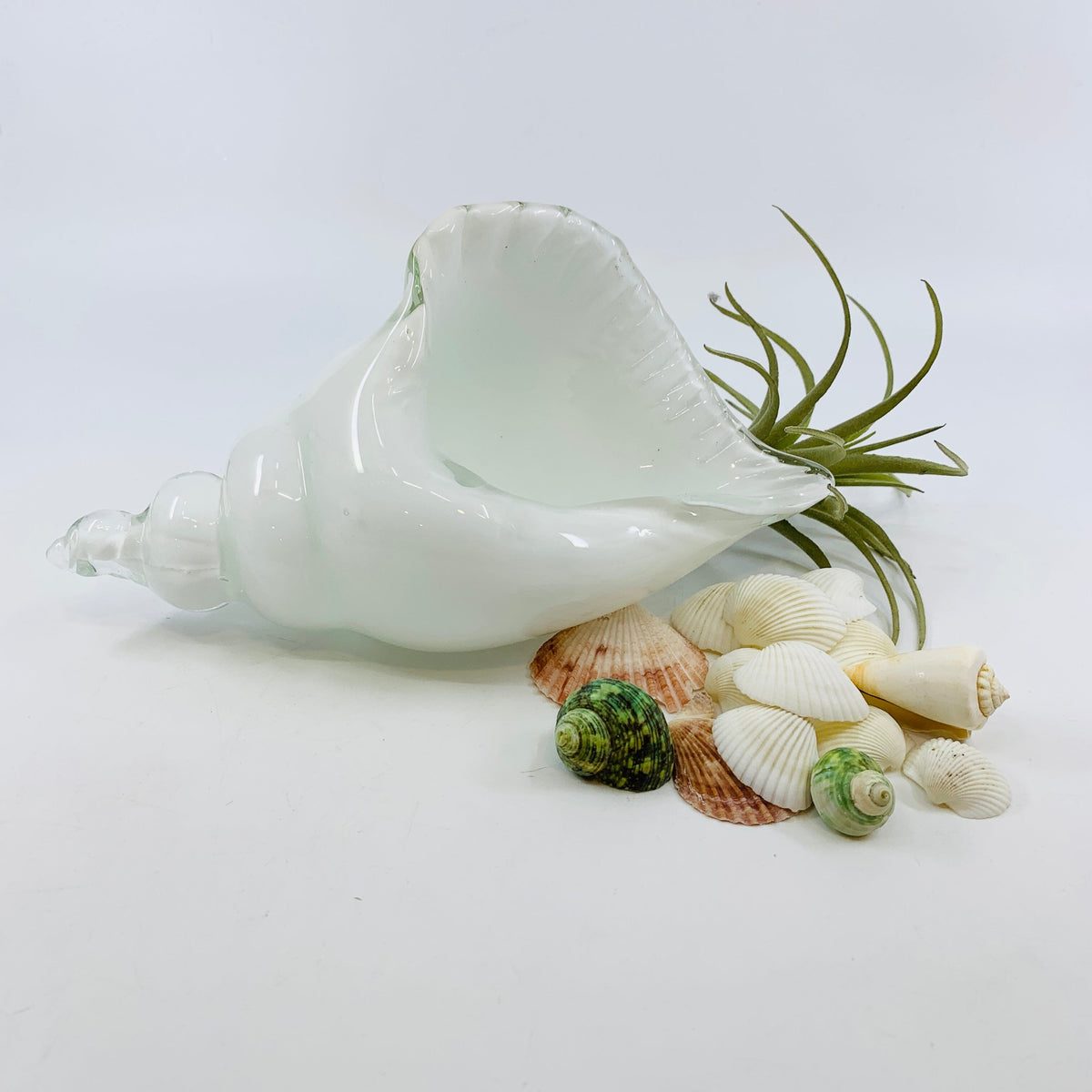 White and Clear Glass Conch Shell Decor Beachcombers 