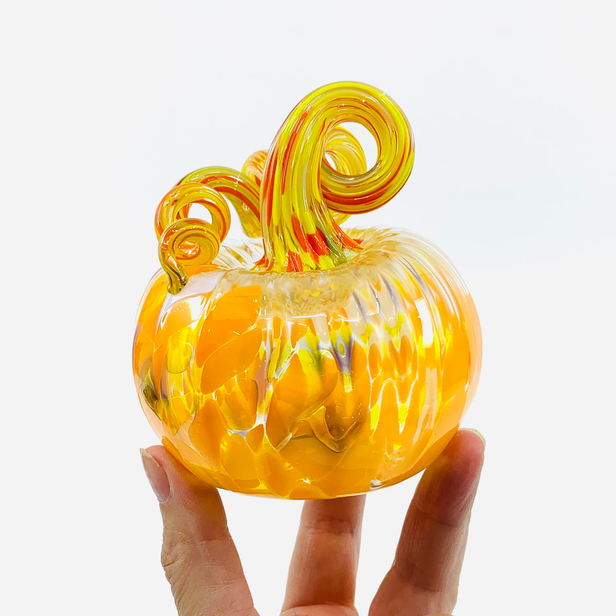 Daily Pumpkin 3303 Fall Mini