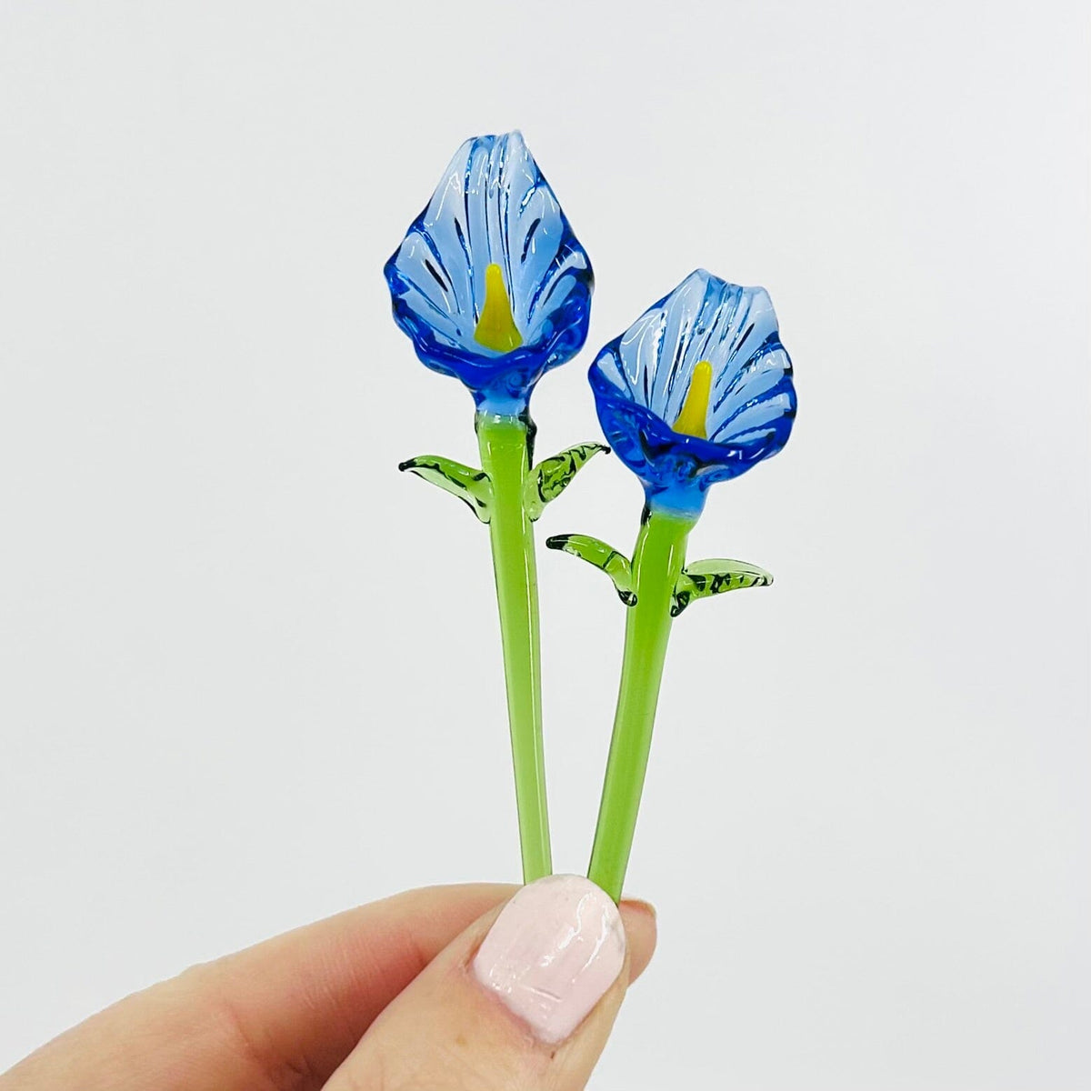 Tiny Calla Lilies - Build Your Own Bouquet Alex Topaz 