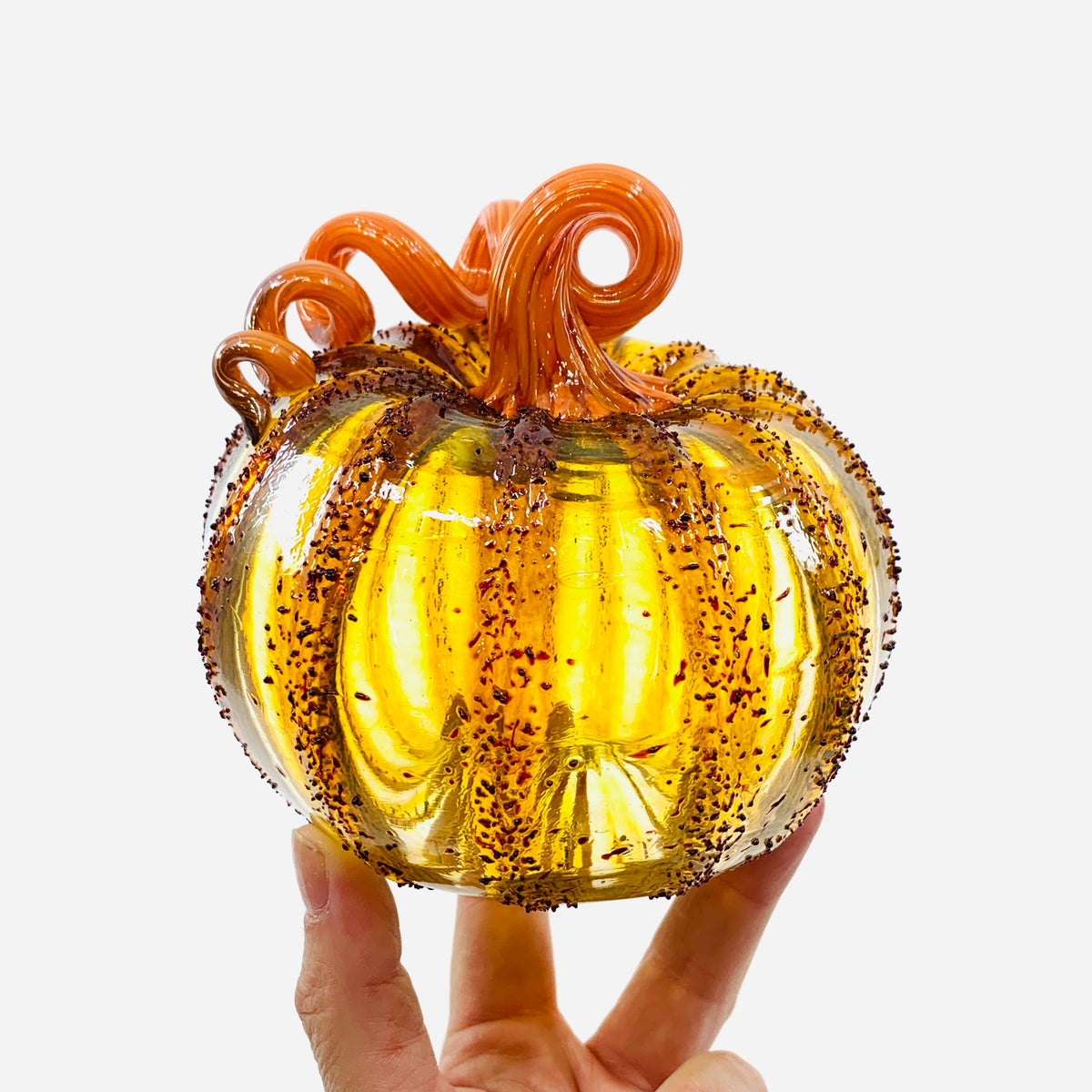 Daily Pumpkin 3583 Fall Squat