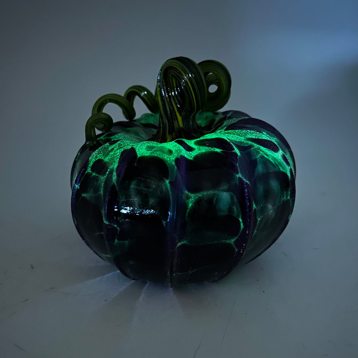 Daily Glow Pumpkin 892 Squat