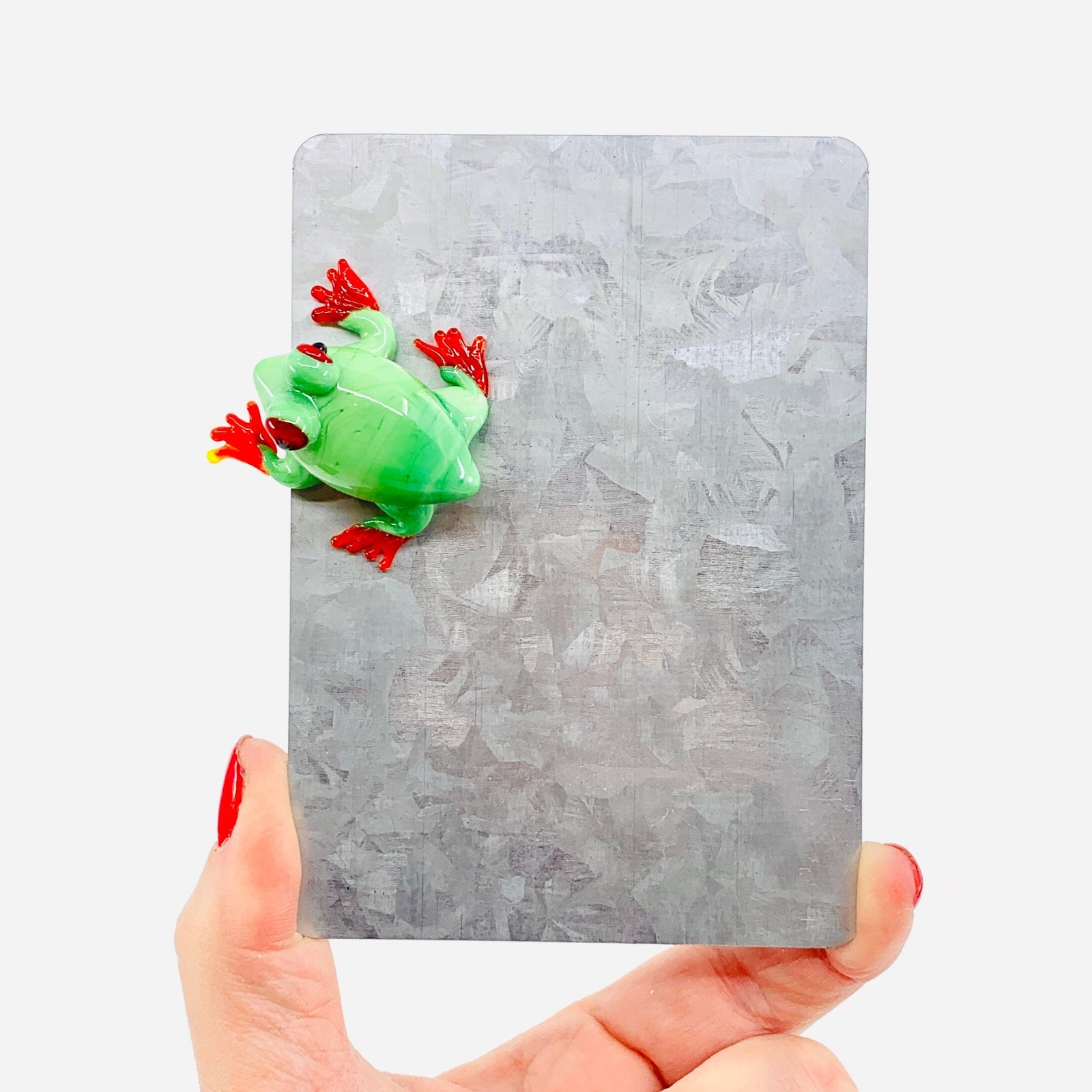Glass Magnet, Tree Frog Dynasty 