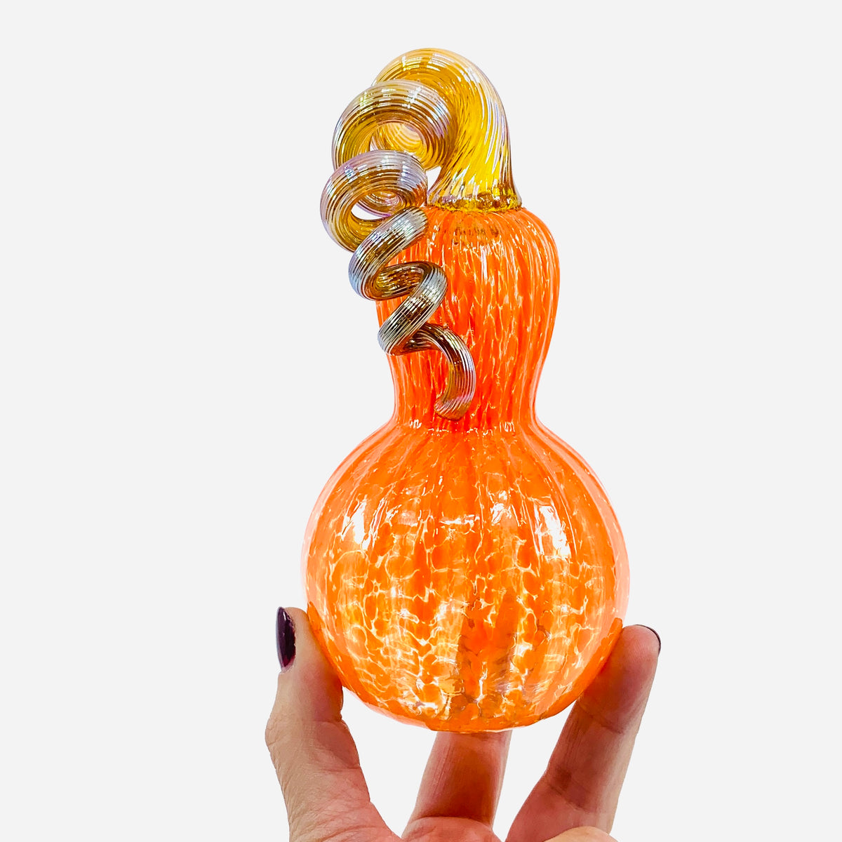 Daily Pumpkin 104 Mini Gourd