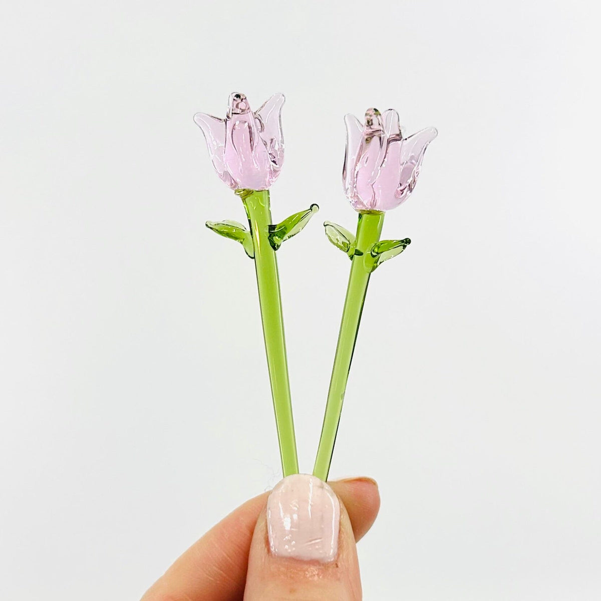 Tiny Tulips - Build Your Own Bouquet Alex Dutch Rose 