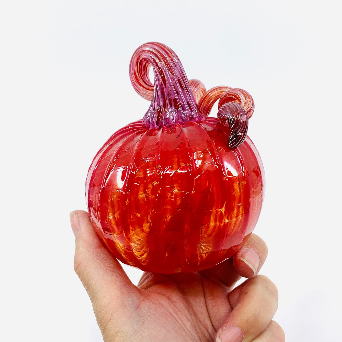 Daily Pumpkin 2409 Mini