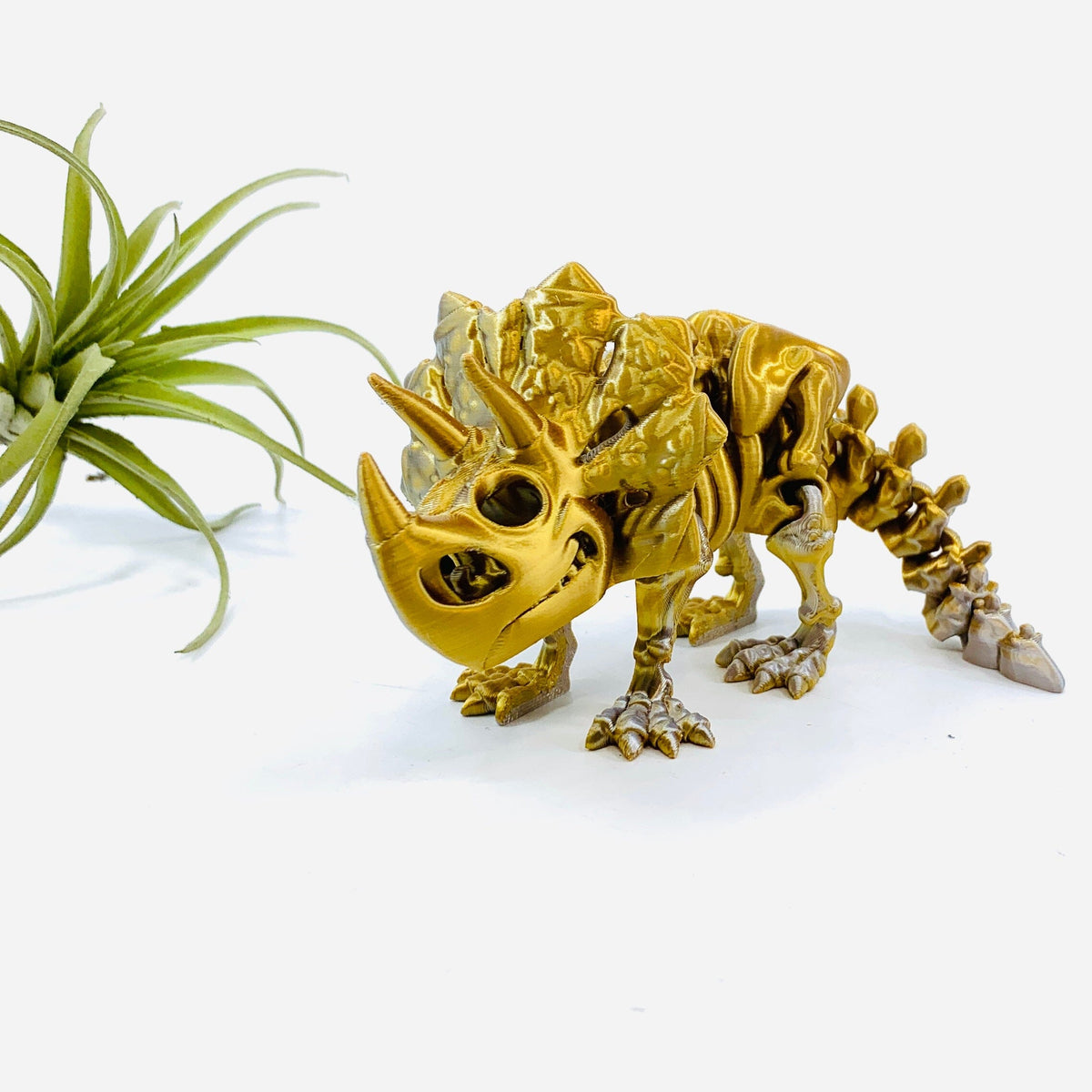 3D-Print Skeleton Triceratops - 50 LUZ CUSTOM DESIGN 
