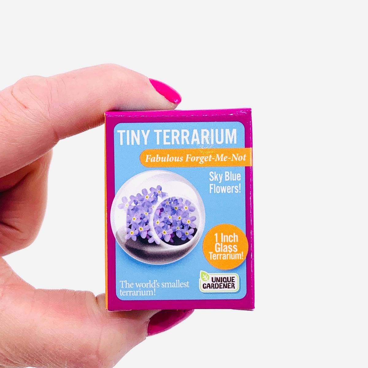 Tiny Terrarium, Forget Me Not