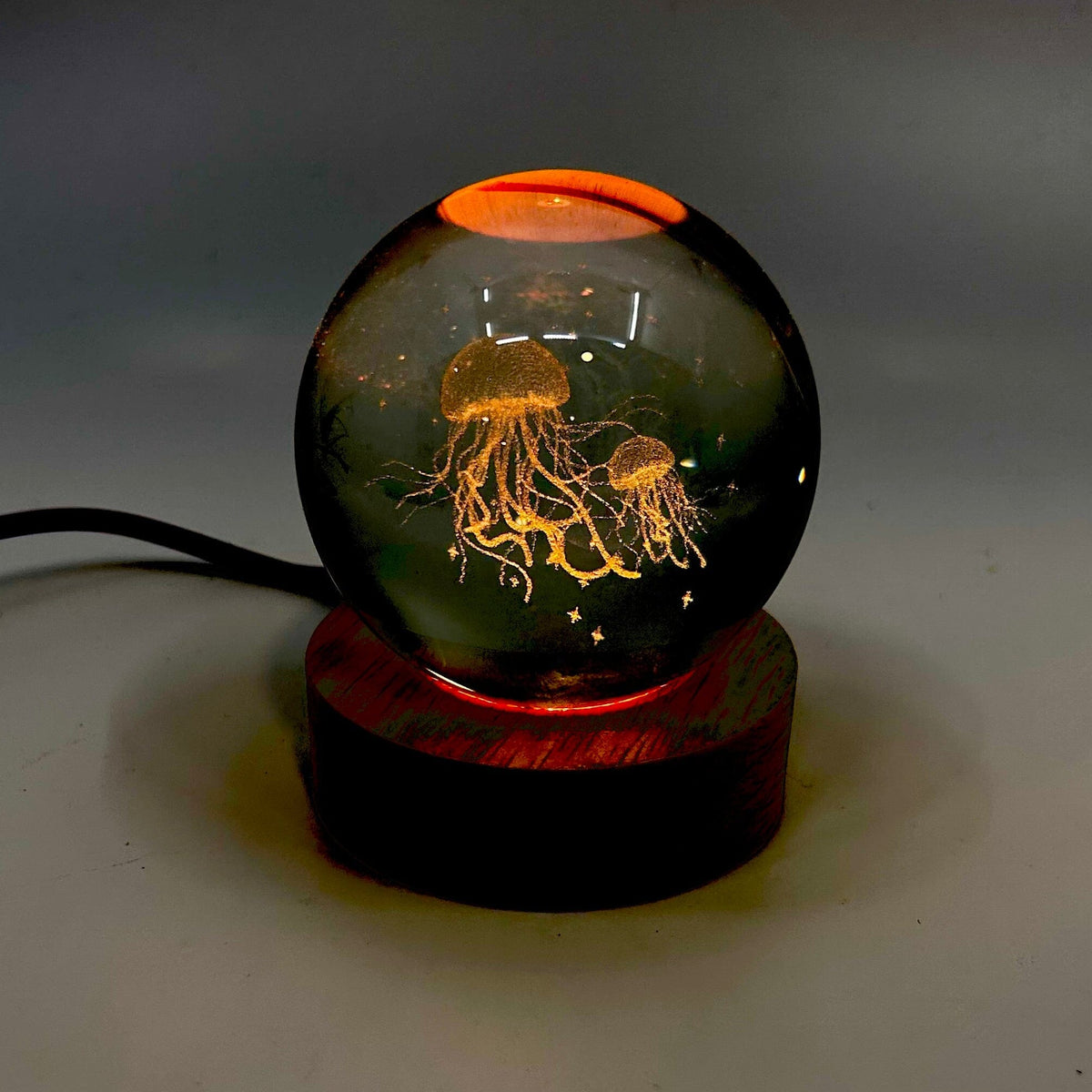 Light Up Etched Glass Sphere décor - Jellyfish 29TONIGHT 