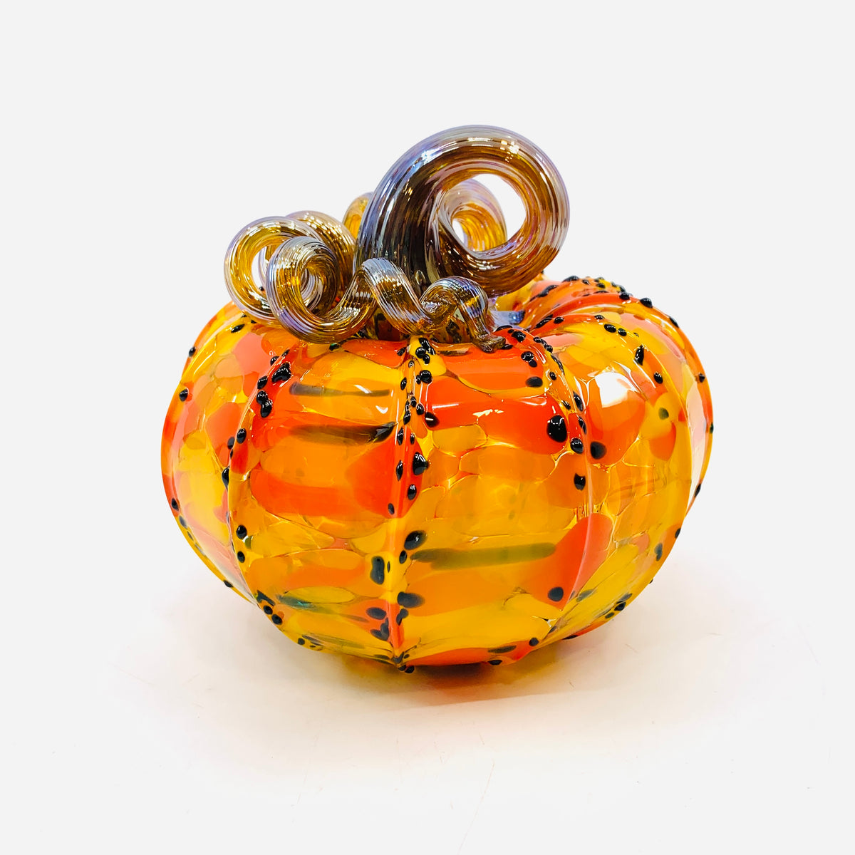 Daily Pumpkin 3687 Fall Squat