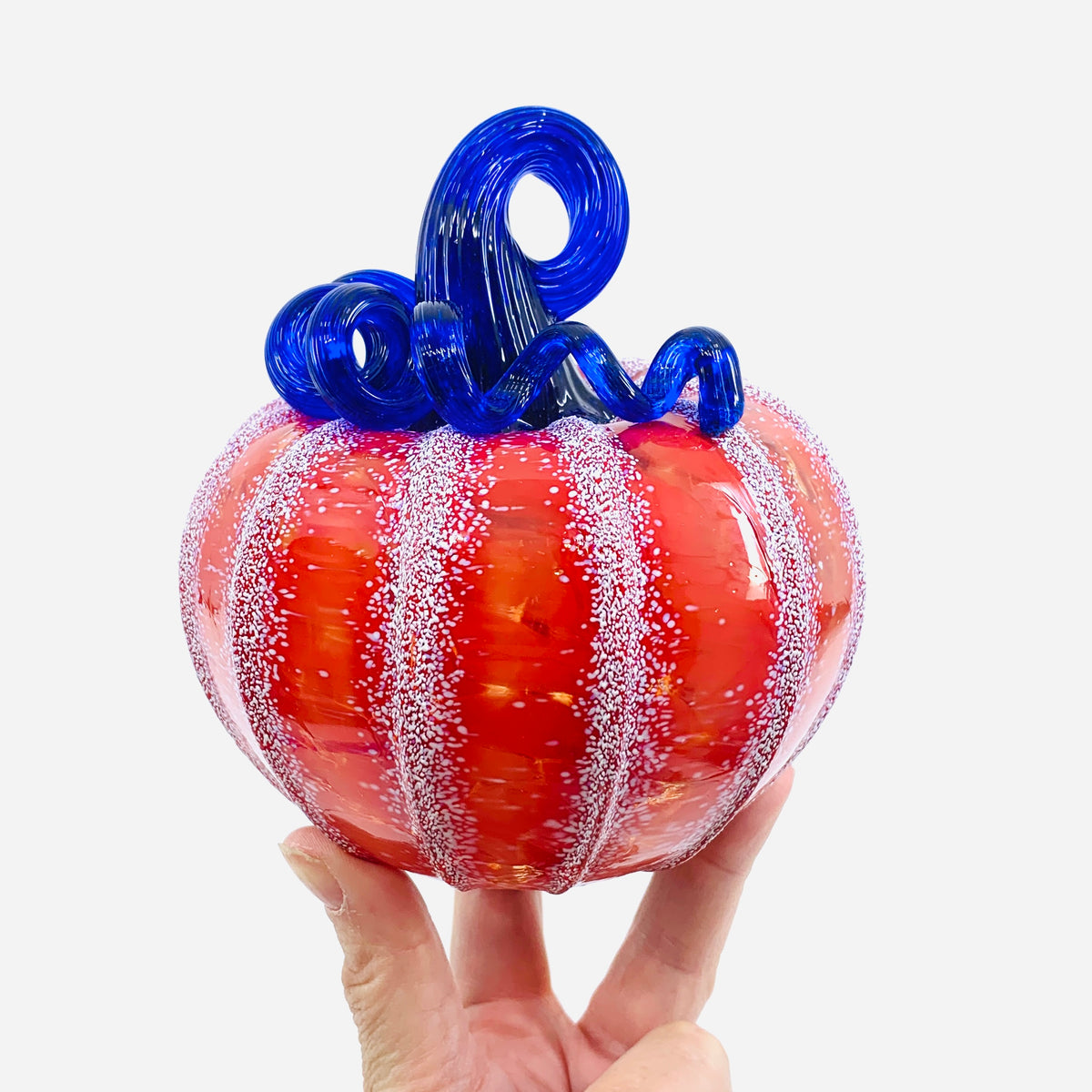 Daily Pumpkin 1460 Squat