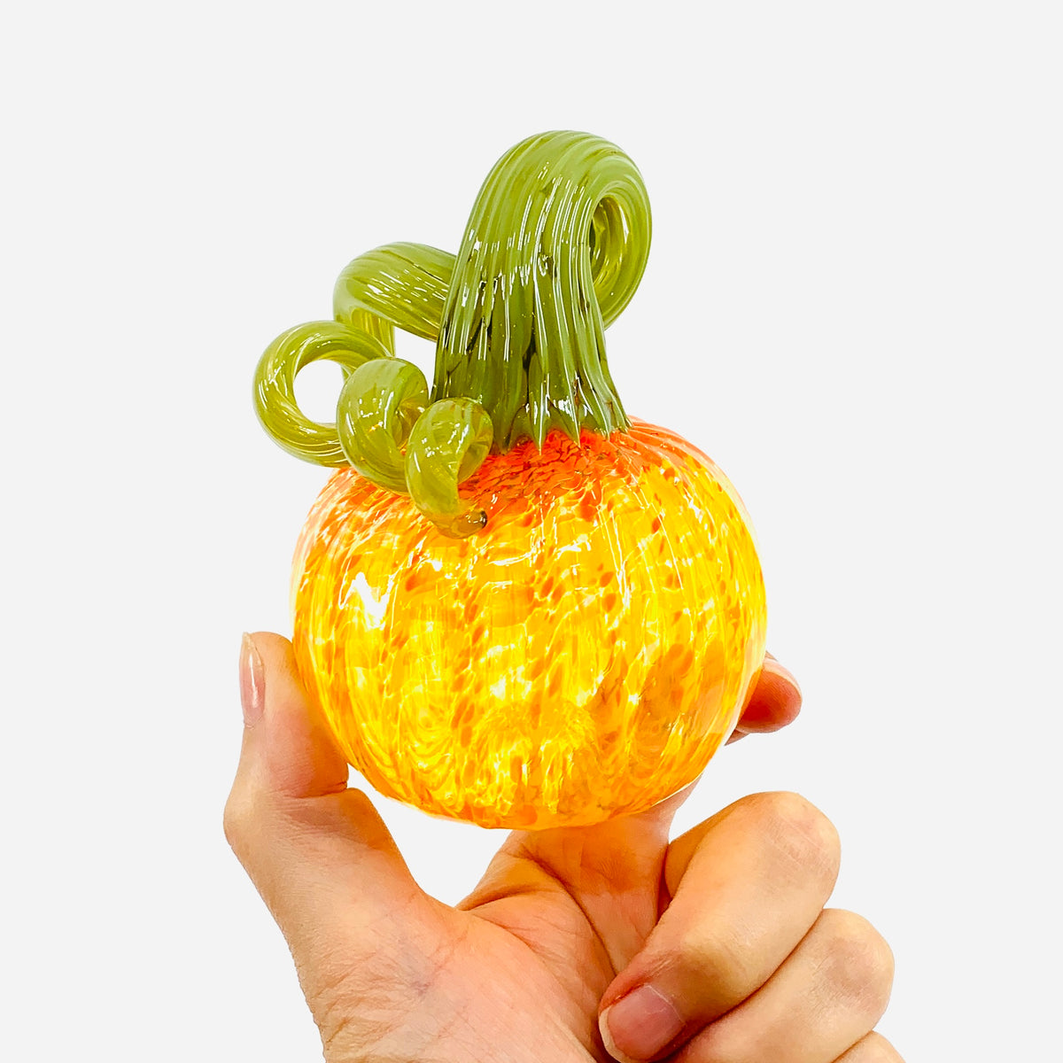 Daily Pumpkin 3279 Fall Mini