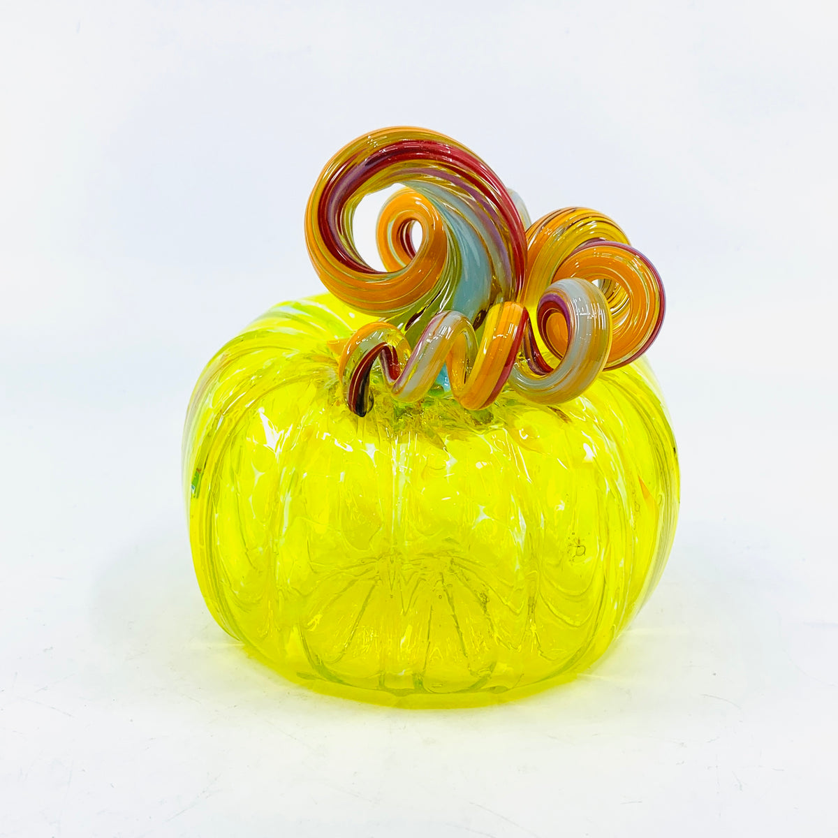 Daily Pumpkin 1130 Squat