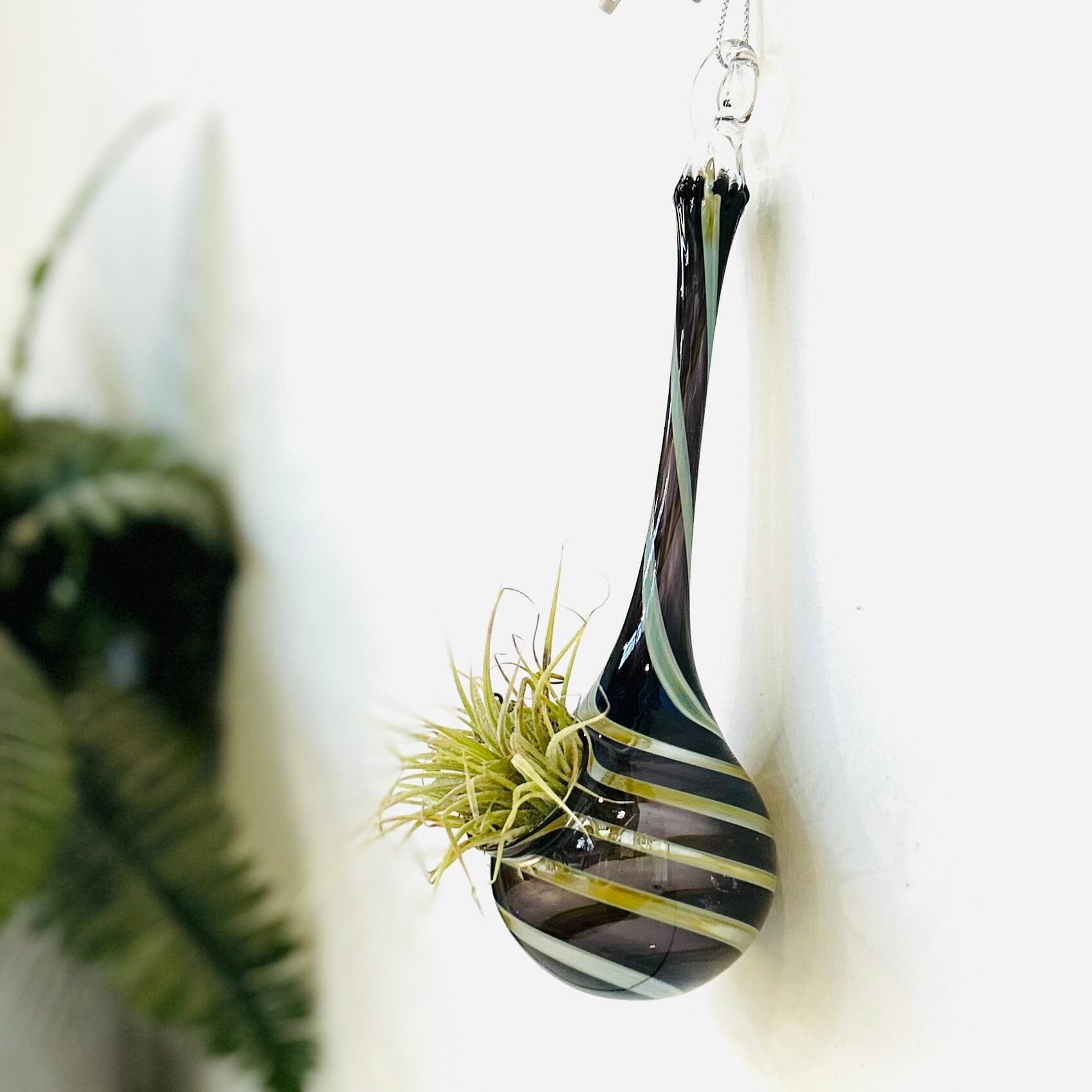 hanging vases for air plants Air Plant Hanging Drop Vase 29