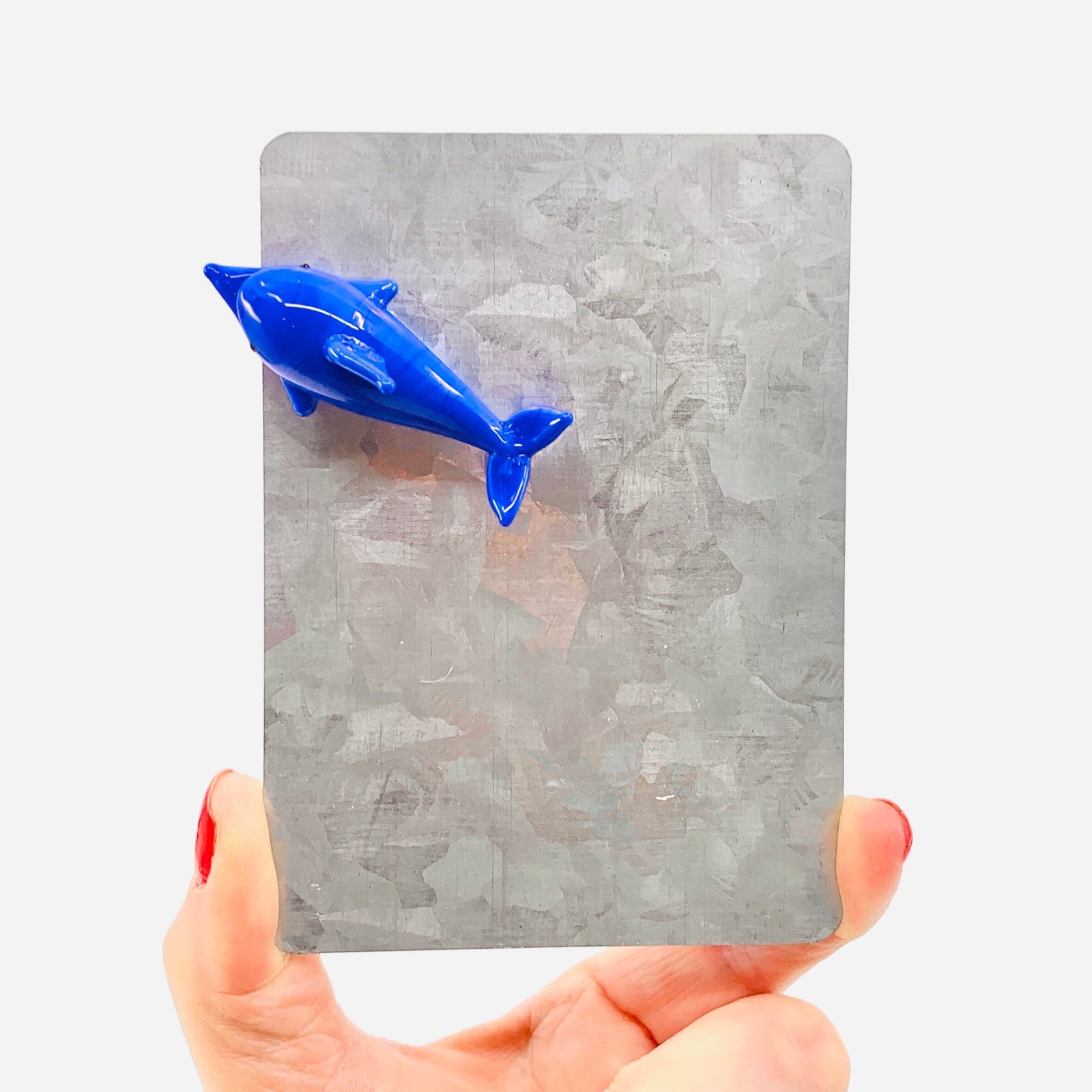 Glass Magnet, Dolphin Dynasty 