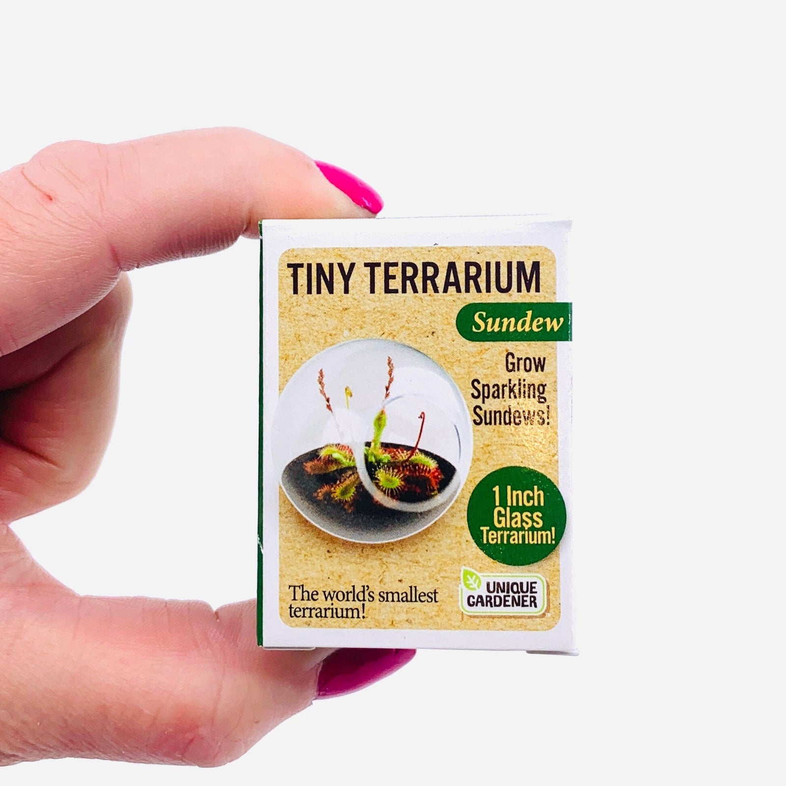 Tiny Terrarium, Sundew Flytrap Silver Circle Products 