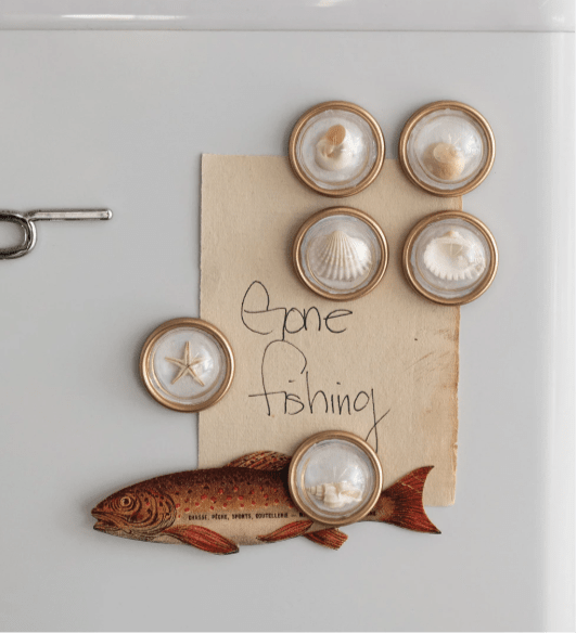 Round Resin Convex Shell Magnets Creative Co-Op 