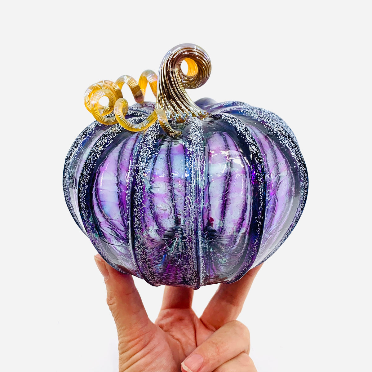 Daily Pumpkin 3696 Jumbo Squat
