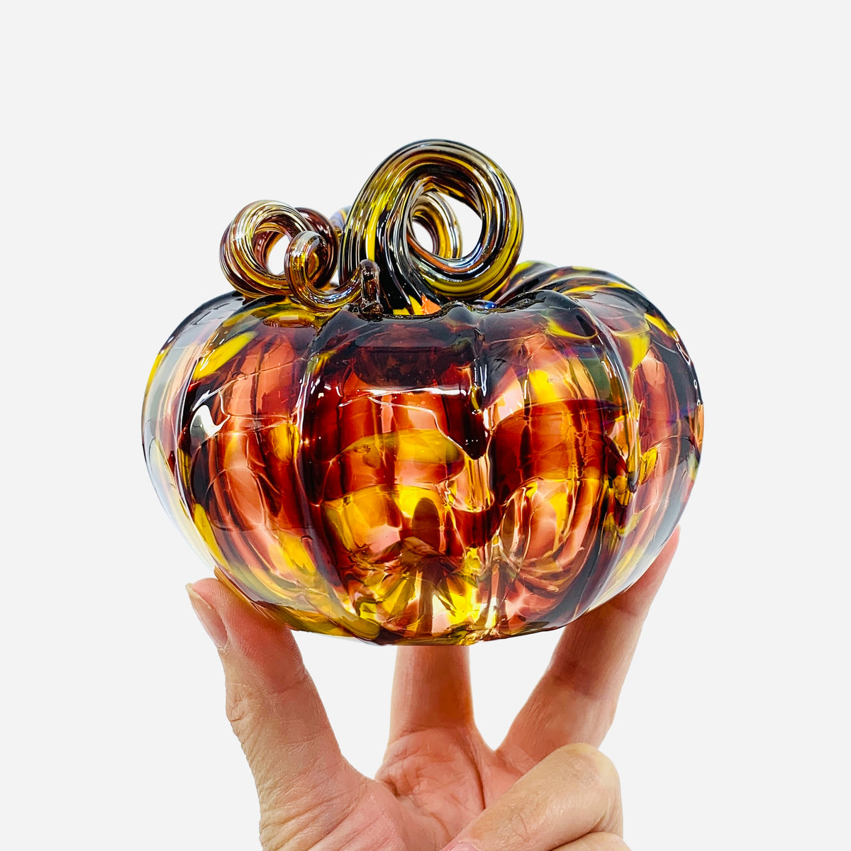 Daily Pumpkin 3307 Fall Squat