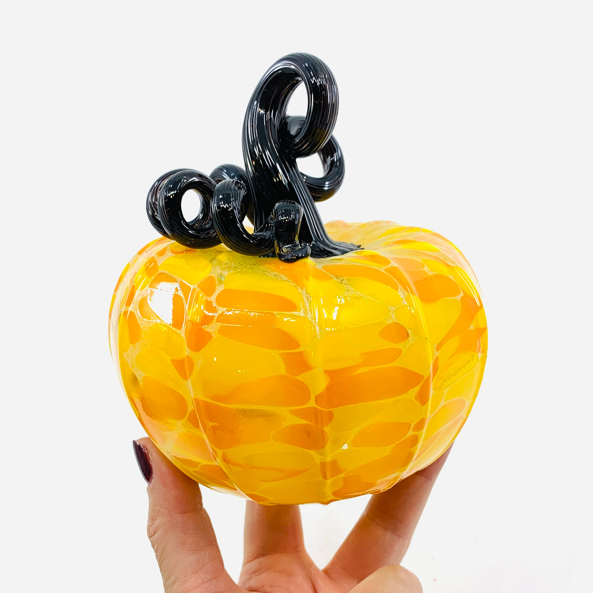 Daily Pumpkin 3941 Fall Squat