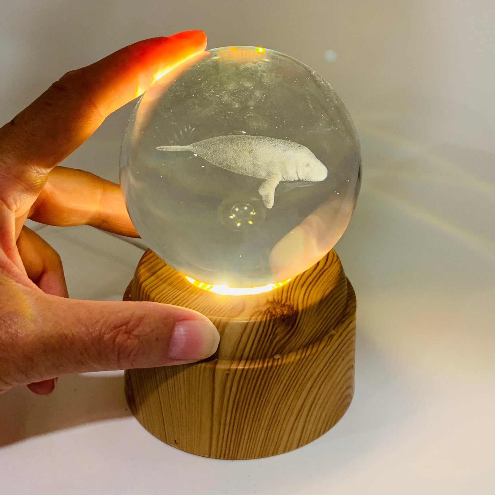 Manatee Rotating Crystal Ball Lamp CALLA PRODUCTS 