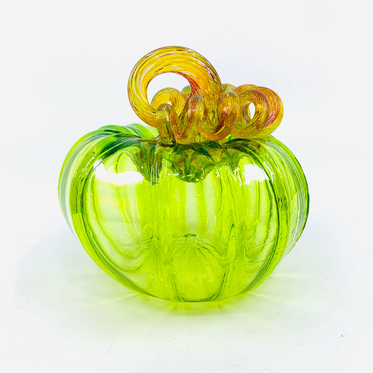 Daily Pumpkin 1120 Rainbow Stem Squat