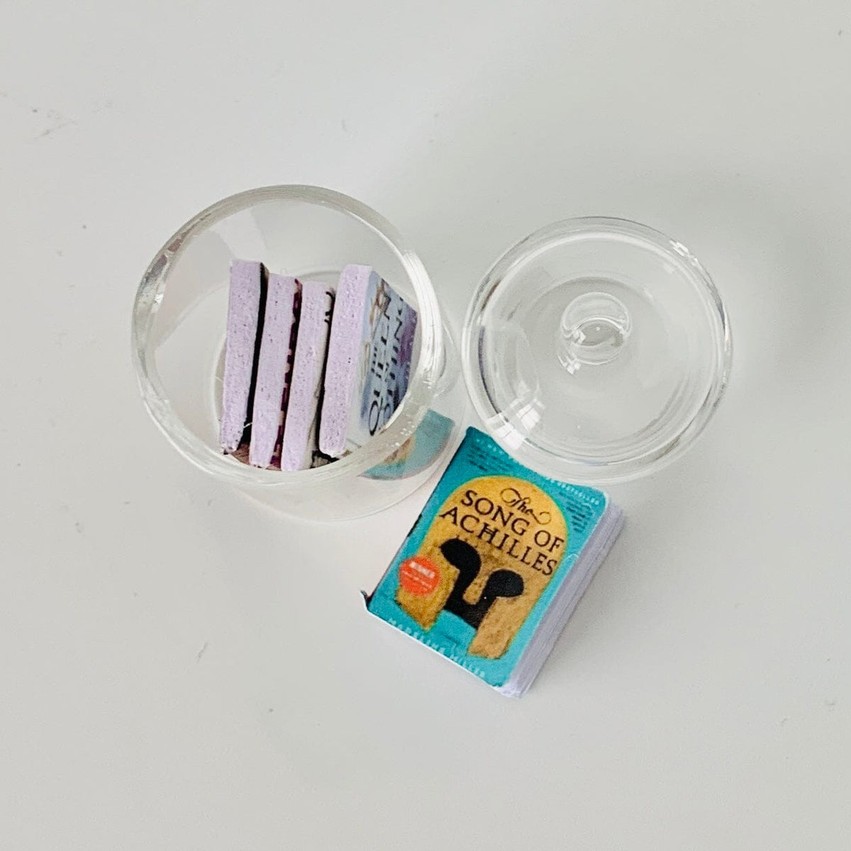 Summer Reading Jar Miniature Alex 