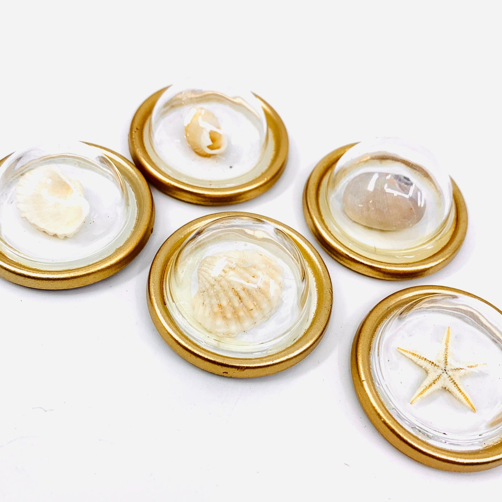 Round Resin Convex Shell Magnets Creative Co-Op 