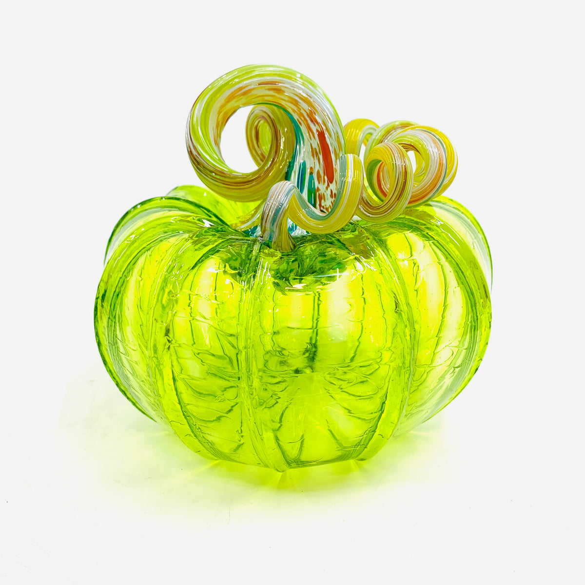 Daily Pumpkin 1105 Rainbow Stem Squat