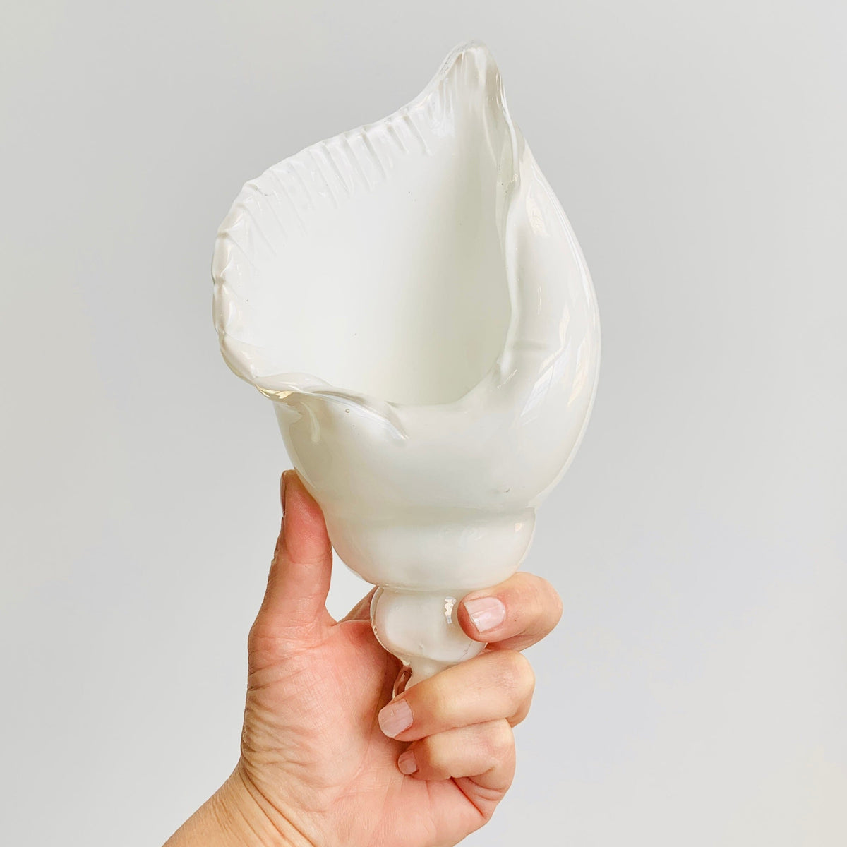 White and Clear Glass Conch Shell Decor Beachcombers 