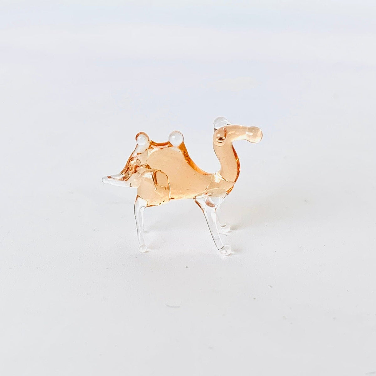 Teeny Teensie Camel 76 JACO 