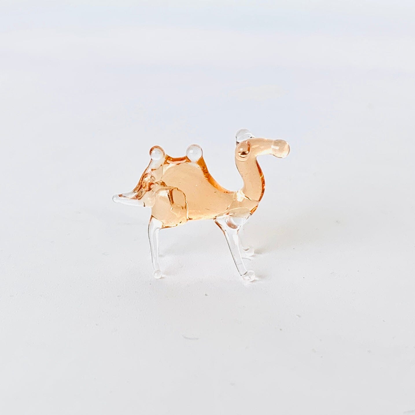 Teeny Teensie Camel 76 JACO 