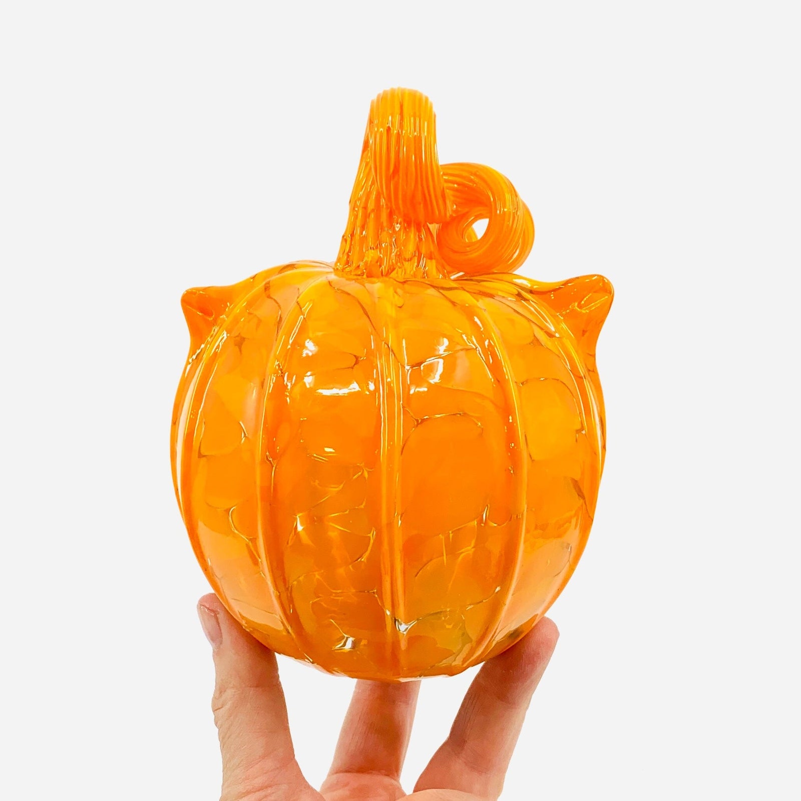 Daily Pumpkin 496 “Luke’s Cat" Squat Gabby Luke Adams Glass Blowing Studio 