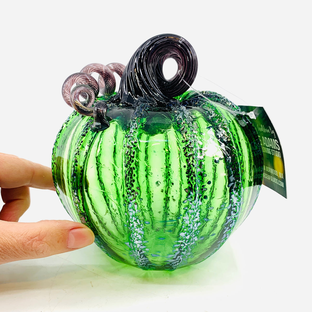 Lost Inventory 1079 Wicked Witch Medium