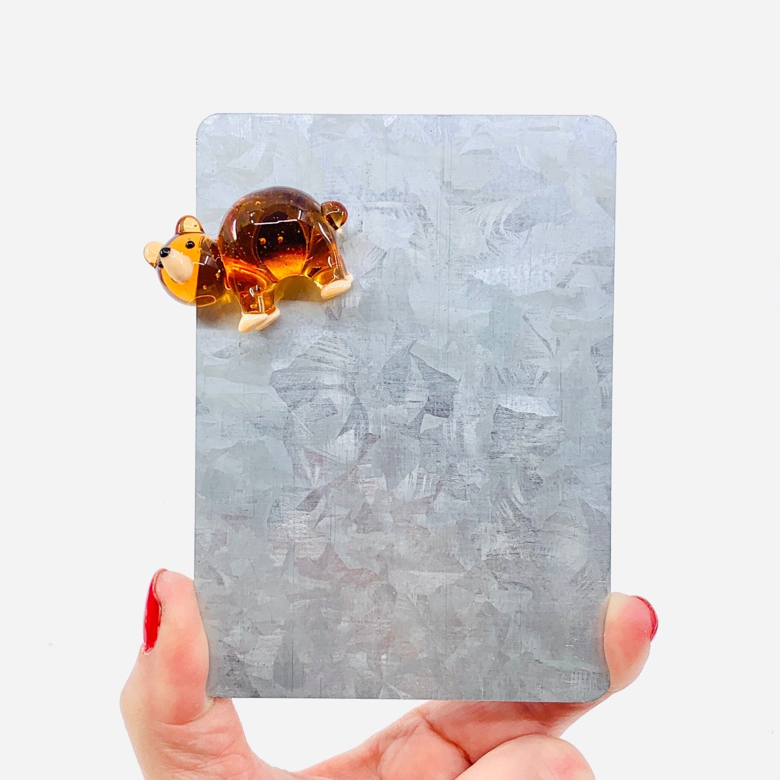 Glass Magnet, Brown Bear Dynasty 