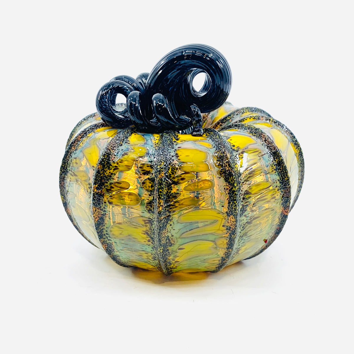 Daily Pumpkin 3685 Fall Squat
