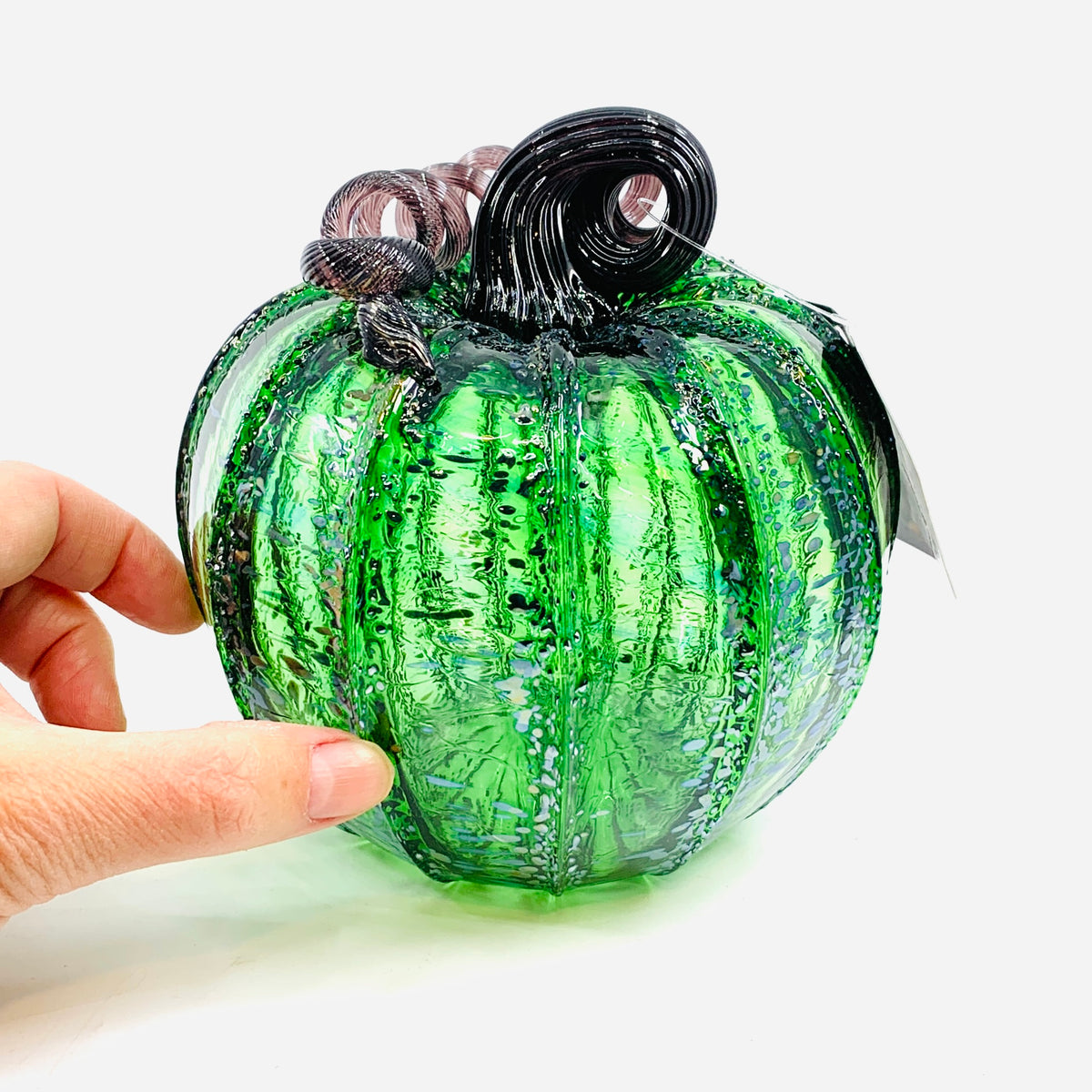 Lost Inventory 1107 Wicked Witch Medium