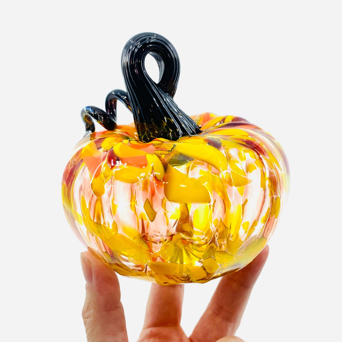 Daily Pumpkin 3627 Fall Jumbo Mini Gabby Luke Adams Glass Blowing Studio 