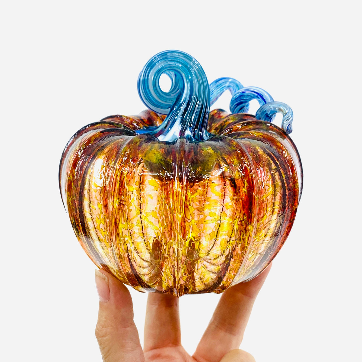 Daily Pumpkin 3194 Fall Squat