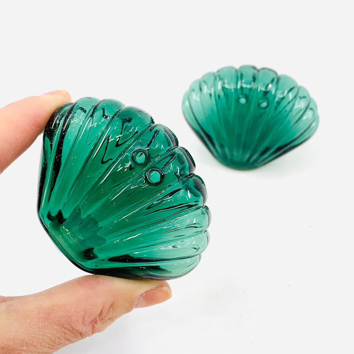 Glass Salt and Pepper Shakers, Shells Decor Gift Essentials 